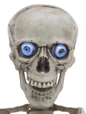 EUROPALMS - szkielet Halloween dystrybutor Europalms