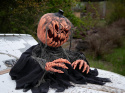 Halloween – Figura Dynia Potwór 50cm Ruch + efekt LED + dźwięk